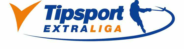 Slovak Extraliga 2011-Pres Primary Logo iron on heat transfer